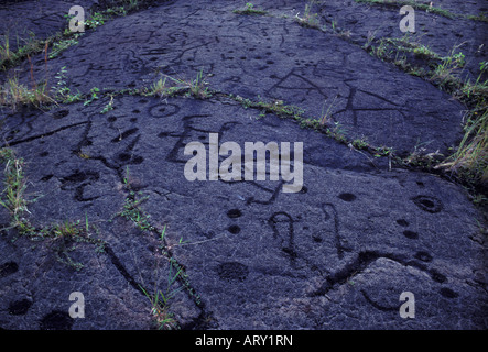 alte Petroglyphys geschnitzt in Pahoehoe-Lava am Pu'u Loa, Hawaiʻi-Volcanoes-Nationalpark Stockfoto