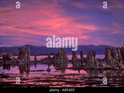 Feurige Morgendämmerung über Tuffstein Türme in Mono Lake Kalifornien Stockfoto