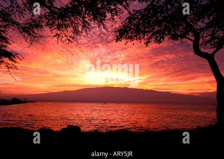 Sonnenaufgang am Maalaea, Maui. Stockfoto