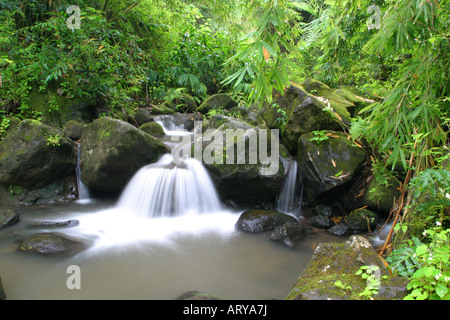 Ein malerischer Wasserfall ist einer von vielen am Wegesrand Maunawili Wandern, windward Oahu. Stockfoto