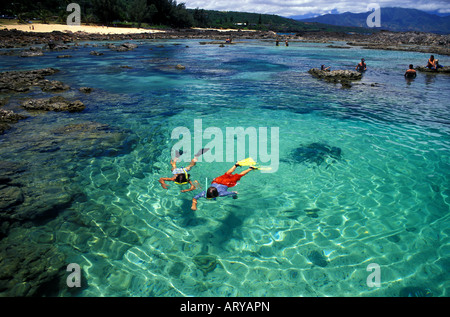 Kinder (8 Jahre) Schnorcheln in den Gezeitenbecken Sharks Cove (Pupukea) auf der Suche nach bunten Fischen. Das Hotel liegt an der Nordküste von Oahu. Stockfoto