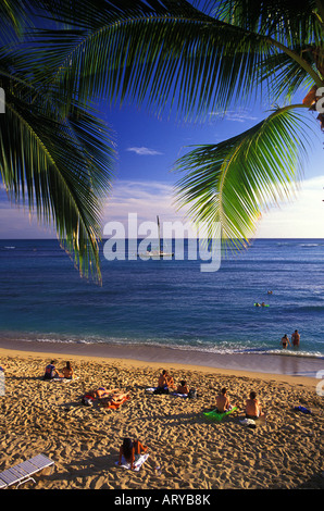 Palmen umrahmen die Aussicht auf eine Catatmaran in Richtung der untergehenden Sonne Segeln, da Touristen am schönen Strand von Waikiki, Oahu entspannen. Stockfoto