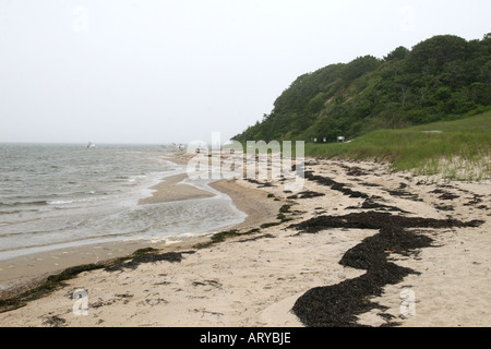 Stürmisches Meer bei Monomoy National Wildlife Refuge, Morris Island, Chatham, MA. Stockfoto