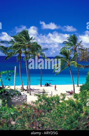 Beautiful Waimea Bay Beach Park mit den warmen Sand, blaues Wasser und Palmen. Gelegen an der Nordküste von Oahu. Stockfoto