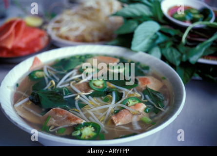 Schüssel mit Pho, traditionelle vietnamesische Nudelsuppe mit geschnittenem Rindfleisch, Paprika, Sojasprossen und Thai-Basilikum, in, Chau Stockfoto
