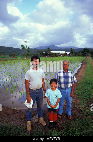 Drei Generationen der Haraguchi Familie stand vor einem Loi (Taro Teich) auf ihrer Farm in Hanalei, Insel Kauai Stockfoto