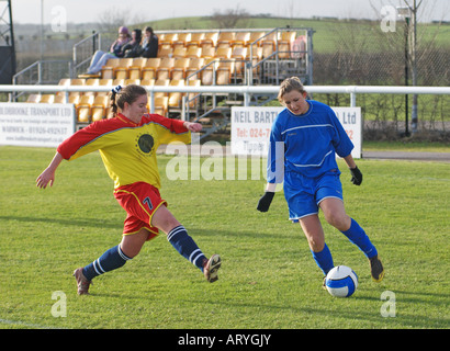 Frauenfußball auf Club-Ebene, Leamington Spa, England, UK Stockfoto