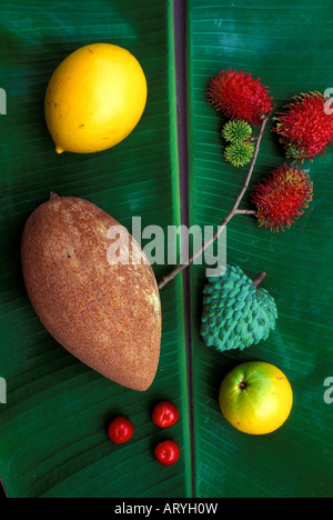 Exotische Früchte (im Uhrzeigersinn von oben rechts): Atemoya, Lilikoi, Acerola (Surinam Kirschen), Rambutan, Sapote, Hula-Brüder Stockfoto