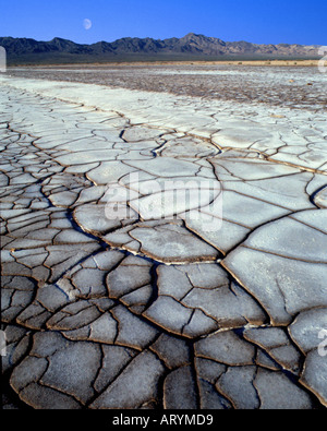 USA - Kalifornien: Bristol Dry Lake in der Nähe von Amboy Stockfoto
