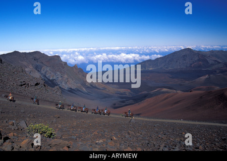 Dem Pferd Touren die ausgestorbenen Haleakala Volcanoe mit dem Pferd im Haleakala National park Stockfoto