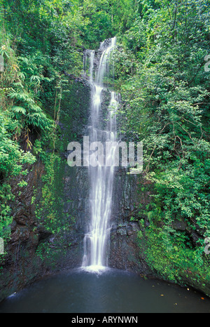 Wasserfall im Haleakala National Park in Kipahulu oder sonst bekannt als "Sieben Sacred Pools" oder "Ohe'o Gulch. Stockfoto