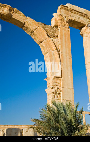 Gewölbe unter den Ruinen der alten Tadmor, Palmyra, Zentrum von Syrien, Naher Osten. DSC 5865 Stockfoto