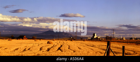 Nach der Ernte wartet ein Grainfield für eine weitere Saison in der Nähe von Madras in Oregon Stockfoto