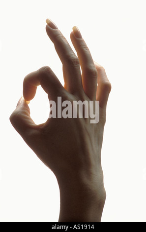 Woman's Hand, die ein OK-Zeichen auf weißem Hintergrund Stockfoto