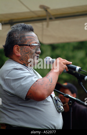 Neuseeland Maori Aktivist zahm Iti Adressierung das Publikum bei einem Konzert in Grey Lynn Park Auckland New Zealand Stockfoto