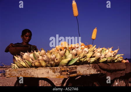 Ein Trödler verkaufen gegrillte Maiskolben auf dem Markt. Madras (Chennai) Tamil Nadu, Indien Stockfoto