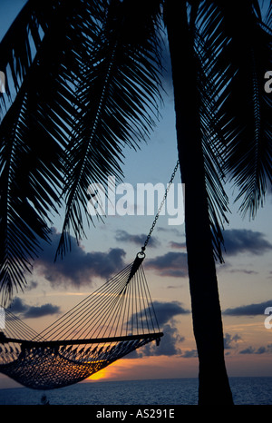 Tropischer Sonnenuntergang über Meer mit String Hängematte und Palmen Stockfoto