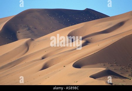 Sanddünen bei Sonnenaufgang Namib Naukluft National Park auf dem Weg zur Düne 45 und Sossusvlei Stockfoto