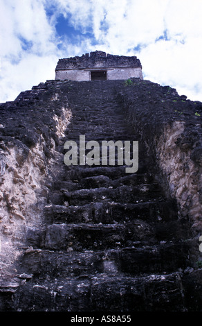 Steile Stufen des Tempels I Tempel des großen Jaguar 44m gebaut von Ah Cacao Btwn 682 und 724AD große Plaza Tikal Guatemala Stockfoto