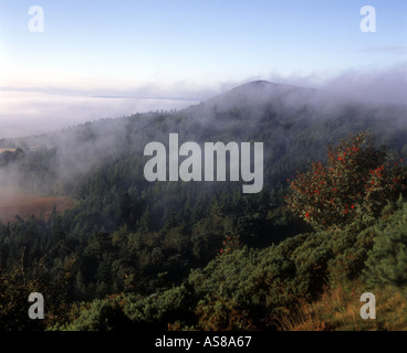 Am frühen Morgennebel Eildon Hills in der Nähe von Melrose Scottish Borders Stockfoto