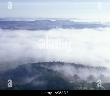 Morgennebel Tweed Valley nahe Melrose Scottish Borders Stockfoto