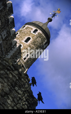 der Tower of London mit Krähen thront auf der Wand London england Stockfoto