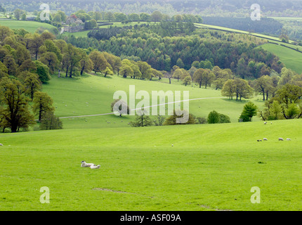 Blick über das Gelände des Chatsworth House in Derbyshire Stockfoto