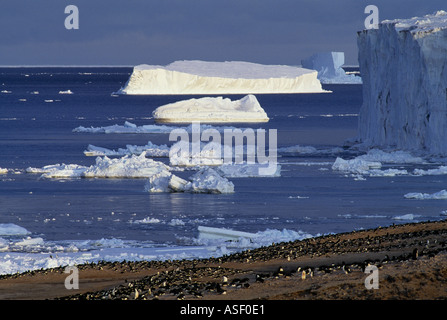 Quintessenz der Antarktis große Adelie Pinguin Kolonie Eis Klippen Eisberge Meereis Cape Bird Ross Insel Antarktis Stockfoto