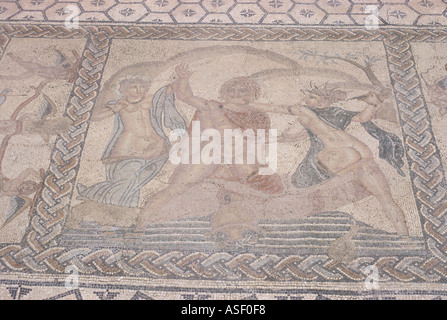 Römisches Mosaik Volubilis Marokko Entführung von Hylas von Nymphen ist Volubilis, die Araber als Oulili Walila oder Walili bekannt. Stockfoto