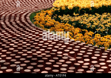 Ornamentalen Reihen von Blumentöpfen auf Keukenhof Frühling Garten Süd-Holland Niederlande Stockfoto
