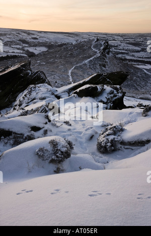 Kaninchen-Fußspuren im Schnee auf die Kakerlaken, Peak District, Staffordshire Stockfoto