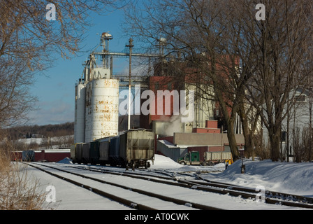 Gleisanschluss am Tier füttern Anlage mit Lagerung Container Güterwagen LKW und Gebäude Stockfoto