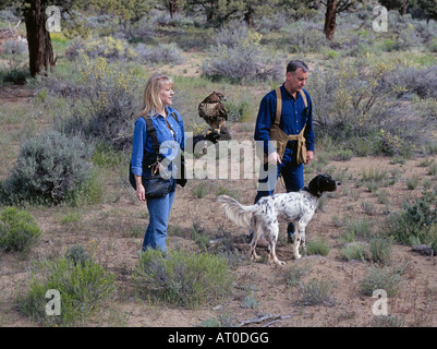 Zwei Falkner mit einem red tailed Hawk suchen Hochland Federwild in der Wüste in der Nähe von Bend Oregon Stockfoto