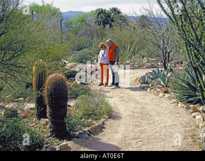 Besucher in der Kaktus Garten Bestandteil der Sonoran Desert Museum in Tucson Arizona Stockfoto