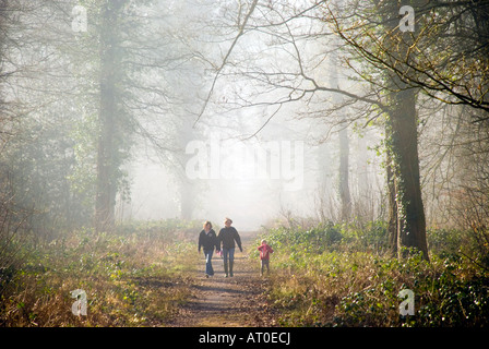 Winter Sonne Nebel und Wanderer in der Royal Forest of Dean Gloucestershire Stockfoto