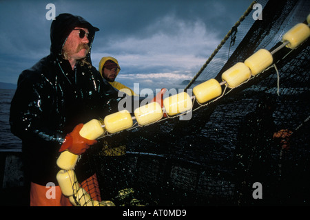 Die Crew des kommerziellen Fischereischiffes Yankee Maid zieht Sien-Ausrüstung mit Kummerlachs, Oncorhynchus keta Hidden Falls, Südost-Alaska Stockfoto