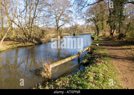 Fluss Wey bei Ripley Surrey UK Stockfoto