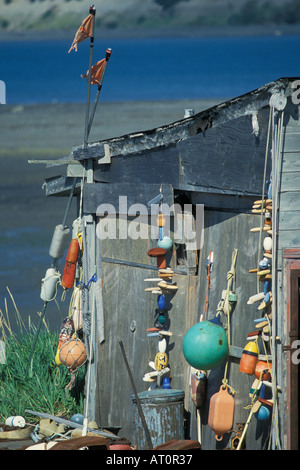 Hütte mit Bojen auf Homer Spit Yunan Alaska Stockfoto