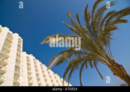 Horizontalen Weitwinkel von der Vorderansicht eines weißen Hotels und einer Palme gegen ein strahlend blauer Himmel Stockfoto