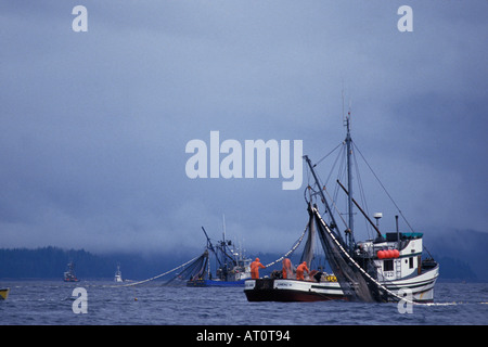 kommerzielle Schiffe ziehen in Sien Gang voller Chum oder Hund Lachs Oncorhynchus Keta Hidden Falls Südost-Alaska Stockfoto