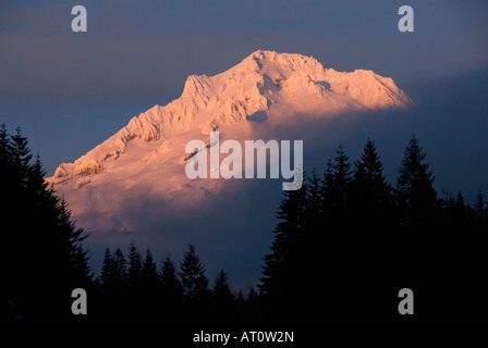 Mt. Hood bei Sonnenuntergang, Winter, 11.237 Fuß hoch, Cascade Mountains, Oregon USA, Blick vom Highway 26 von Portland Stockfoto