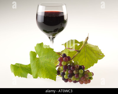 Glas Rotwein mit Bio-rote Trauben. Stockfoto