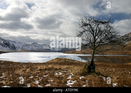 Loch Arklet im Trossachs National Park in Schottland, Großbritannien Stockfoto