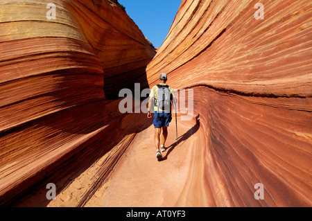 Wanderer auf The Wave, Paria Canyon-Vermillion Cliffs Wilderness, Utah-Arizona Bereichsrand, USA Stockfoto