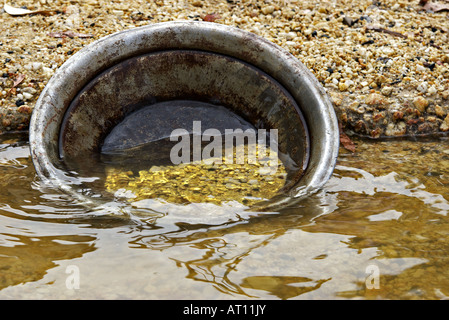 fand es golden Nuggets gold Pan im Wasser Stockfoto