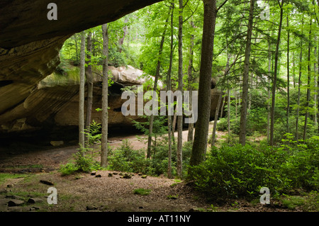 Ratssaal Rock House in Red River Gorge geologischen Bereich Menifee County Kentucky Stockfoto