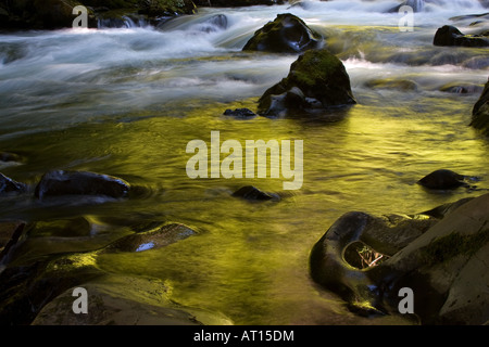 Sol Duc River oberhalb Sol Duc Wasserfälle Stockfoto