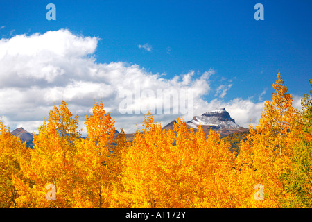 Uncompahgre Peak und Wildnis von Slumgullion Pass auf Autobahn 149, Colorado Stockfoto