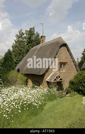 Ein Reetdachhaus in Cotswold Dorf der großen Tew Stockfoto