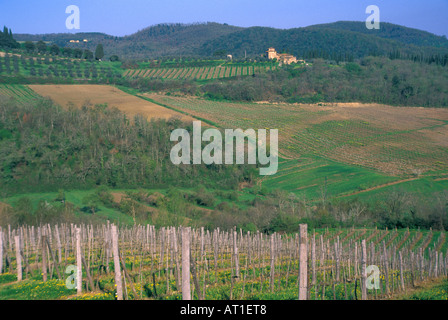 Italien, Toskana, kleine Villa am Hang Weinberg abgedeckt Stockfoto